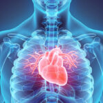 Your  heart is  on your palms: Taking control of your cardiovascular health